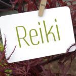 red-japanese-maple-reiki-134219564